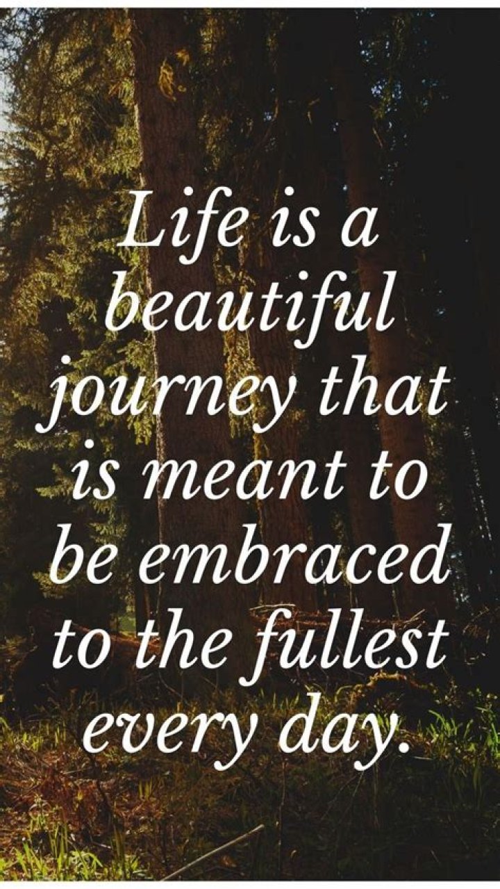 Embracing The Journey: Its A Beautiful Life