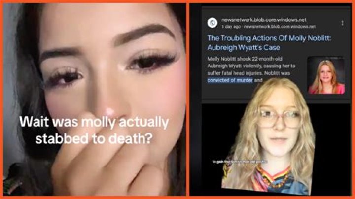 Unraveling The Controversy: The Arrest Of Molly Noblitt